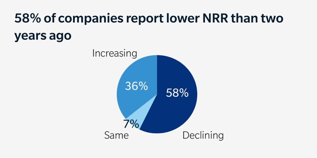 newsletter-companies-report-lower-nrr-graph
