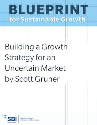 Building a Growth Strategy for an Uncertain Market