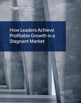 CEO-Profitable-Growth-2025-cover