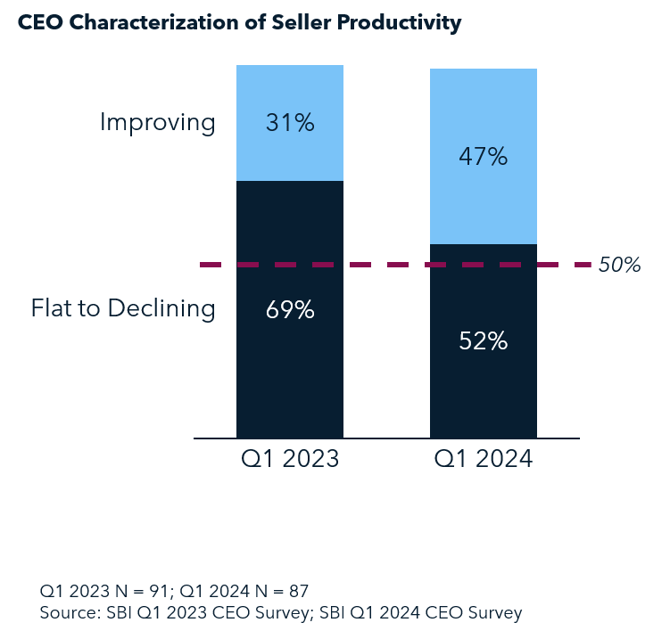 CEO Characterization of Seller Productivity