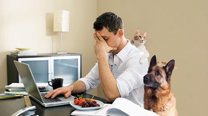 7-working-from-home