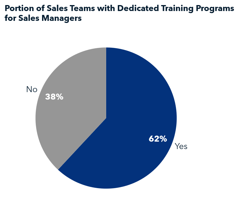 Sales manager training programs