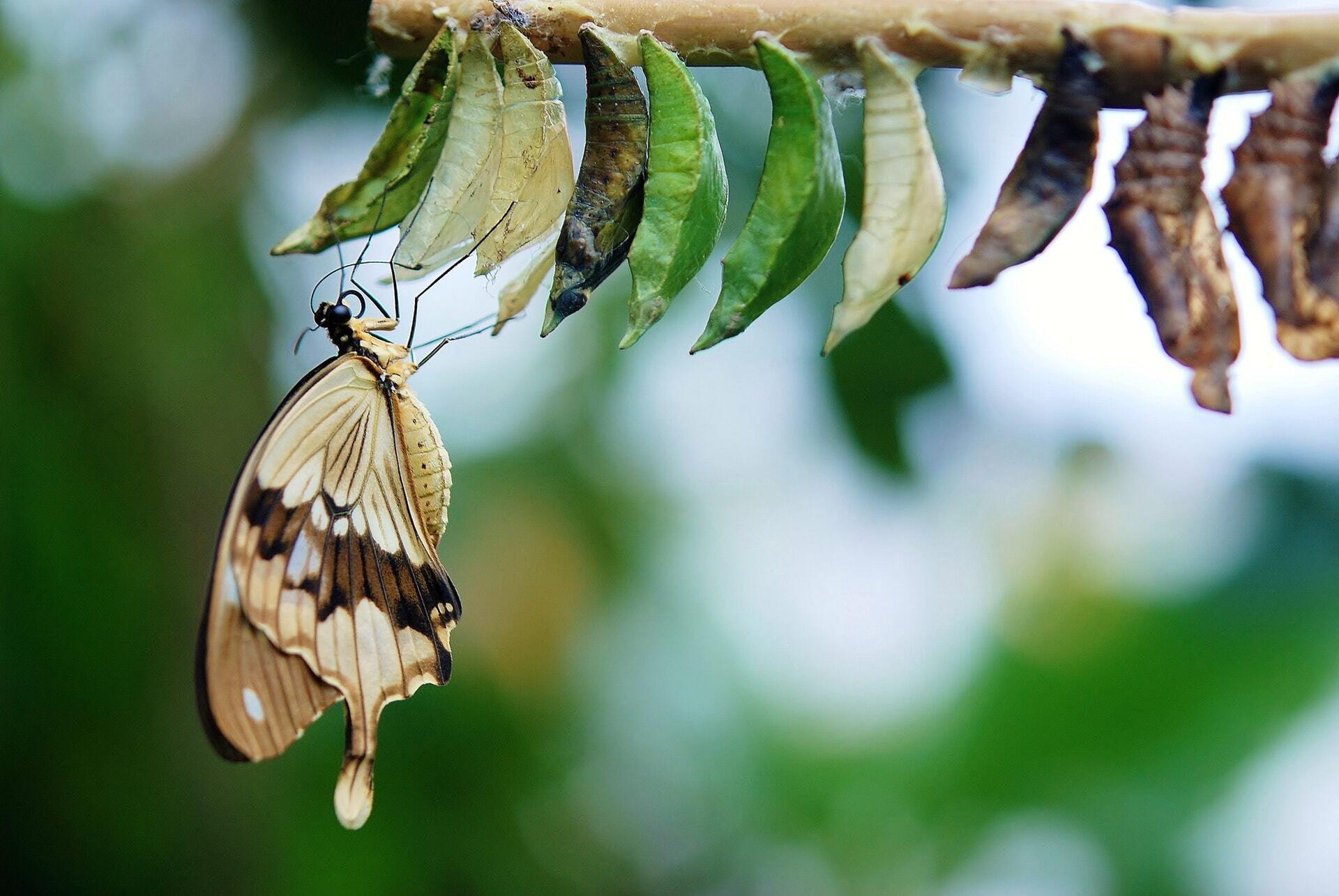 Beyond Spreadsheets: The Discipline of Commercial Due Diligence