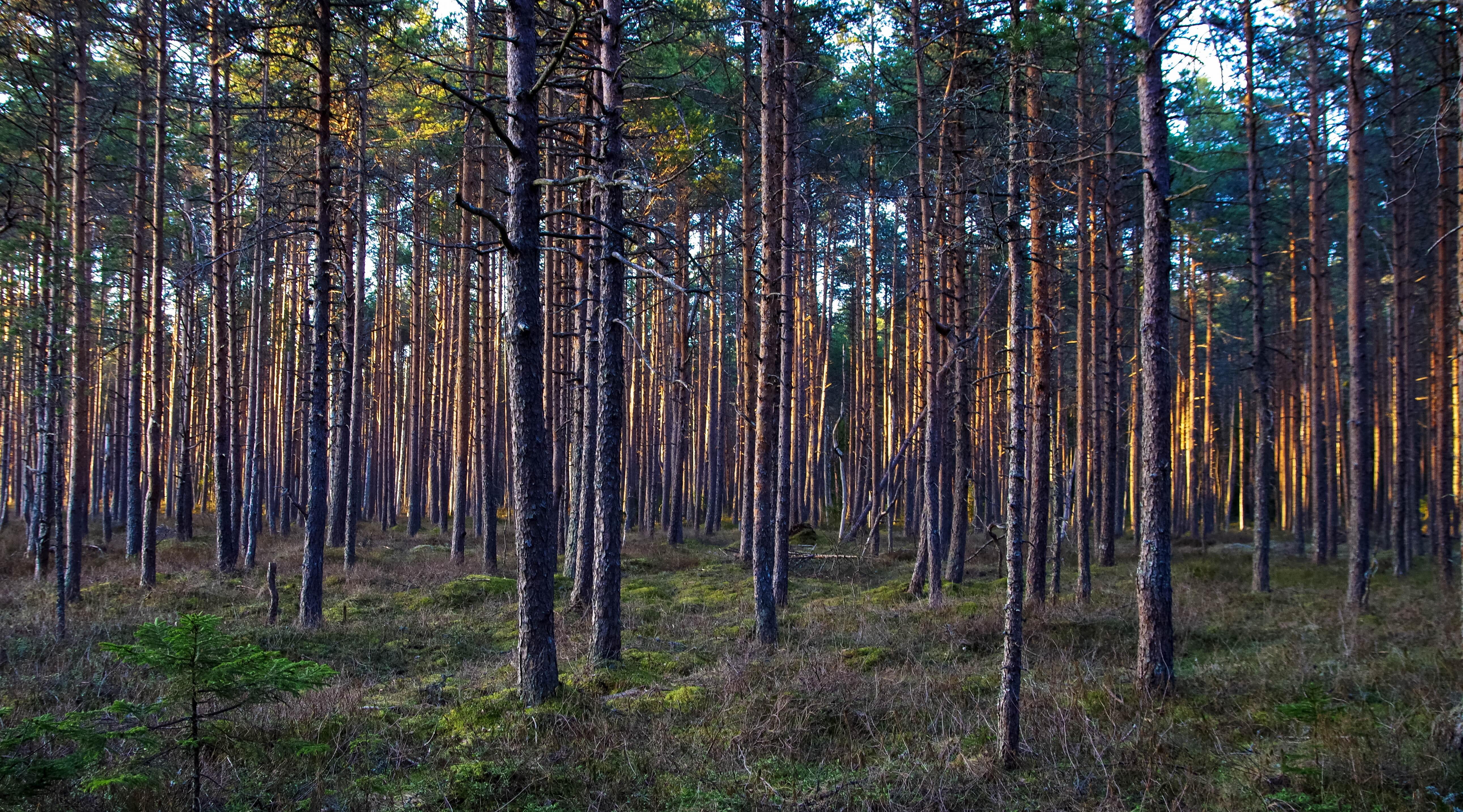 Beyond Spreadsheets: The Discipline of Commercial Due Diligence