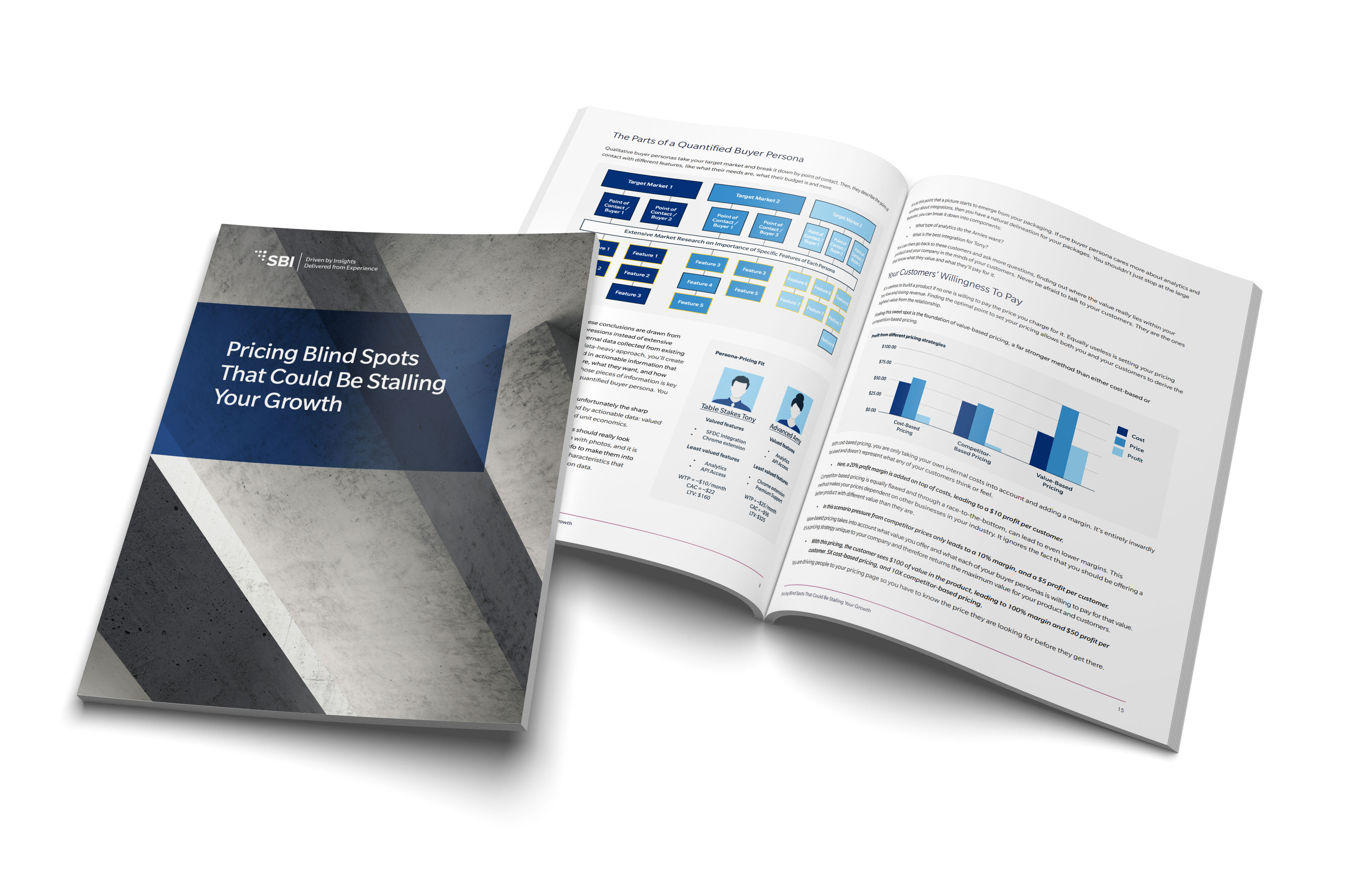 Pricing Blindspots Book Thumbnail