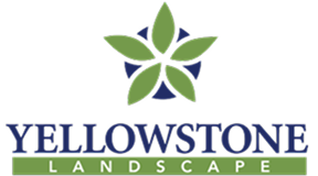 yellow landscape logo